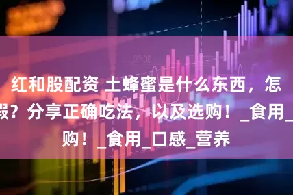 红和股配资 土蜂蜜是什么东西，怎么分辨真假？分享正确吃法，以及选购！_食用_口感_营养