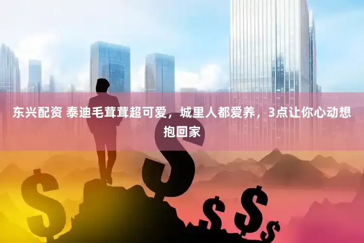 东兴配资 泰迪毛茸茸超可爱，城里人都爱养，3点让你心动想抱回家