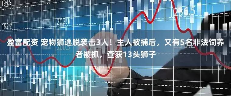 盈富配资 宠物狮逃脱袭击3人！主人被捕后，又有5名非法饲养者被抓，查获13头狮子