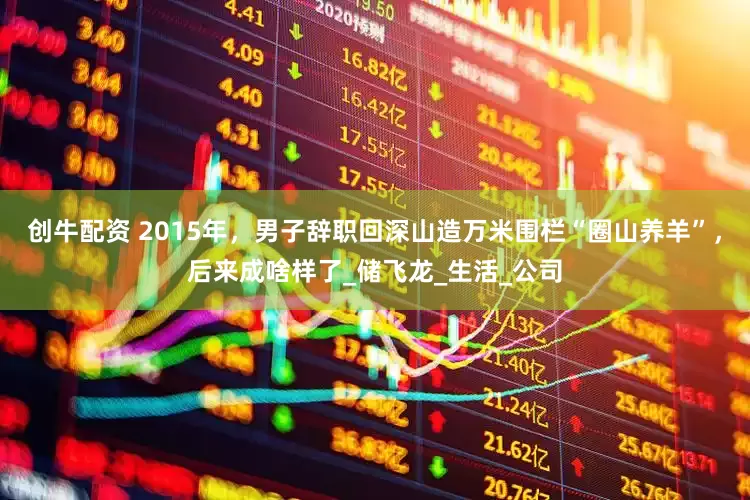 创牛配资 2015年，男子辞职回深山造万米围栏“圈山养羊”，后来成啥样了_储飞龙_生活_公司