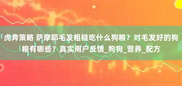 虎奔策略 萨摩耶毛发粗糙吃什么狗粮？对毛发好的狗粮有哪些？真实用户反馈_狗狗_营养_配方