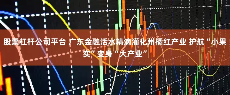 股票杠杆公司平台 广东金融活水精滴灌化州橘红产业 护航“小果实”变身“大产业”